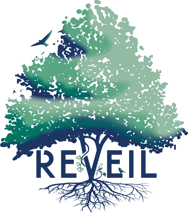 Reveil 2023