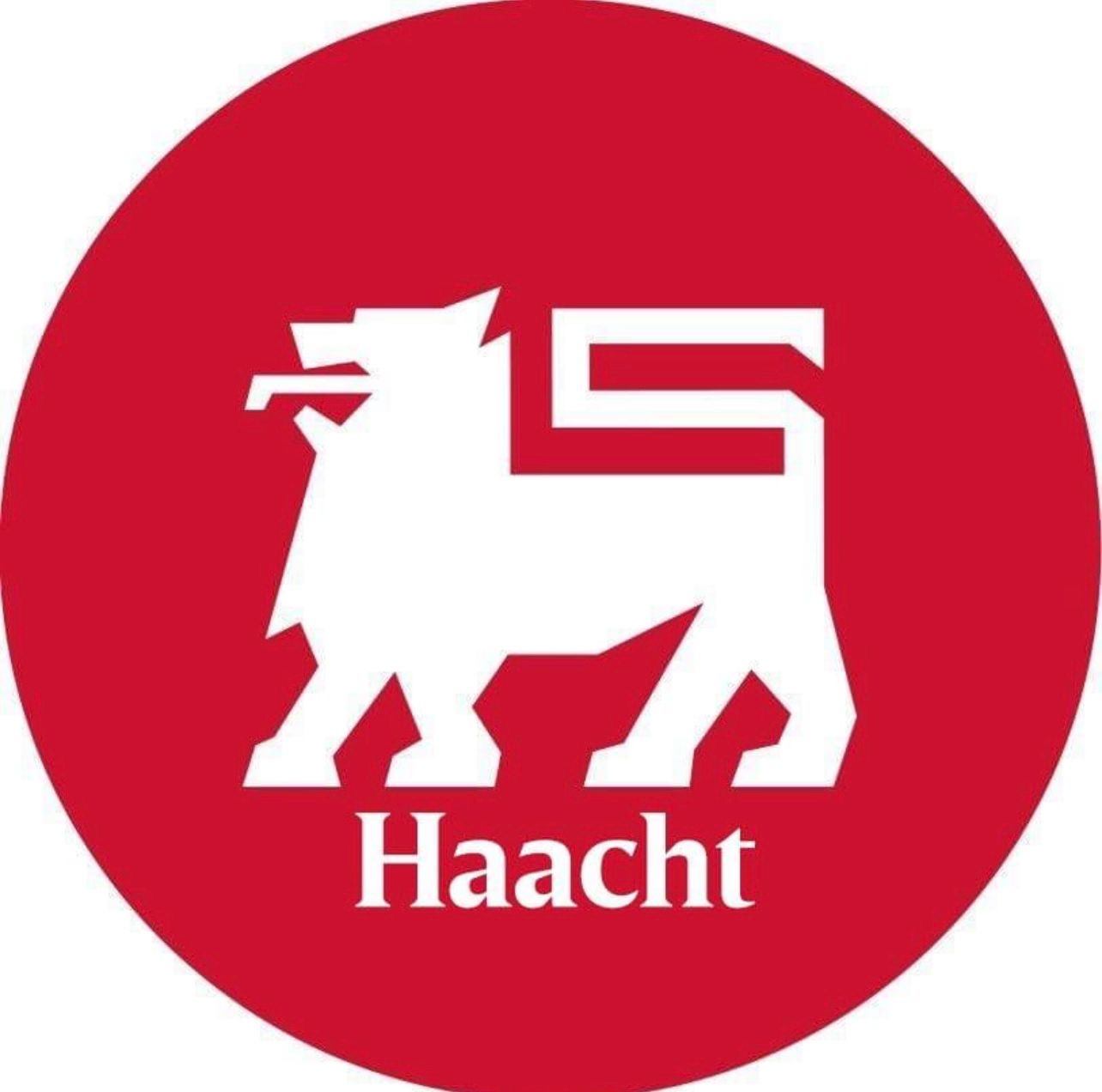 Delhaize Haacht - Markt 1
